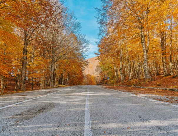 Bocca della Selva e Monte Mutria